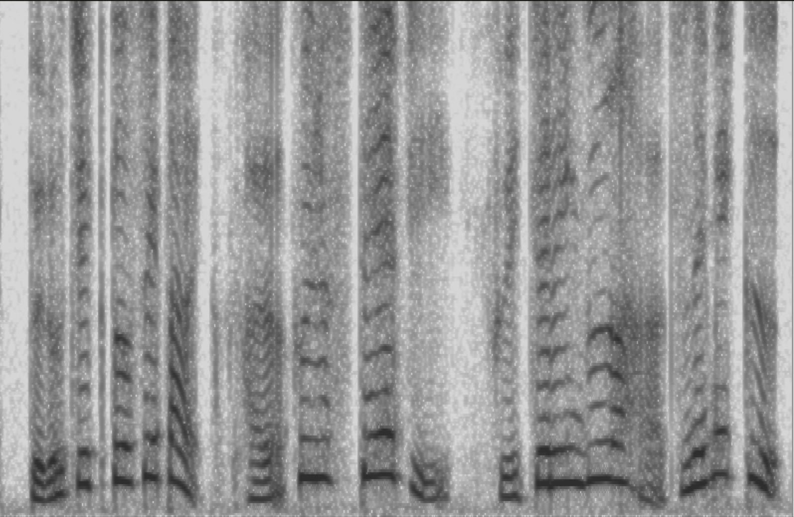 A spectrogram of human speech